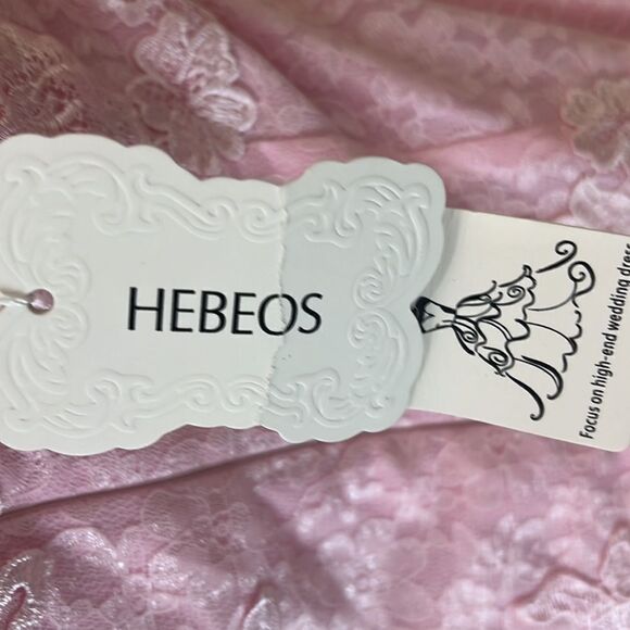 Hebron Pink Wedding Dress Sheer Embroidered Floral Lace High End - Picture 12 of 13